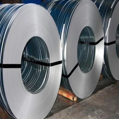  Hot Sale 310S 1mm Thick 310 316 316L 321 347 Stainless Steel 304 Stainless Steel Strips China Made