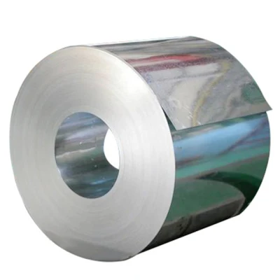 Ss202 304L 316L 304 310S 2b Cold Rolled Stainless Steel Sheets Plate Hot Rolled Coil/Strip Roll J4 430 Ba
