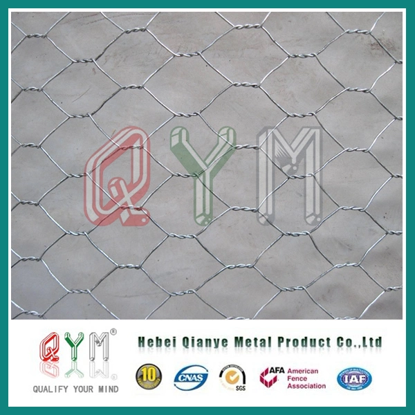 304 316 3/4 Inch Stainless Steel Welded Wire Mesh Roll