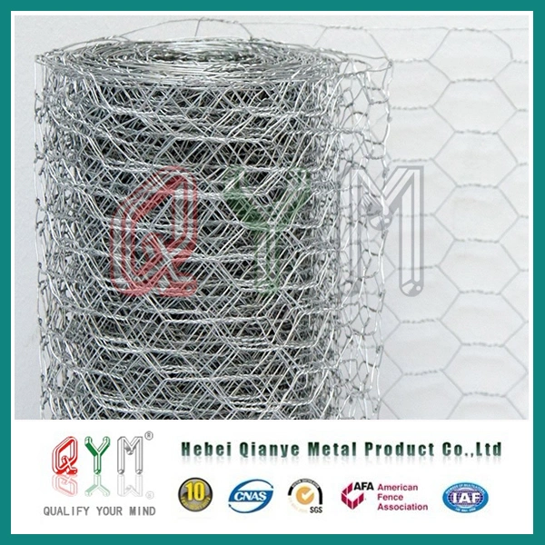 304 316 3/4 Inch Stainless Steel Welded Wire Mesh Roll