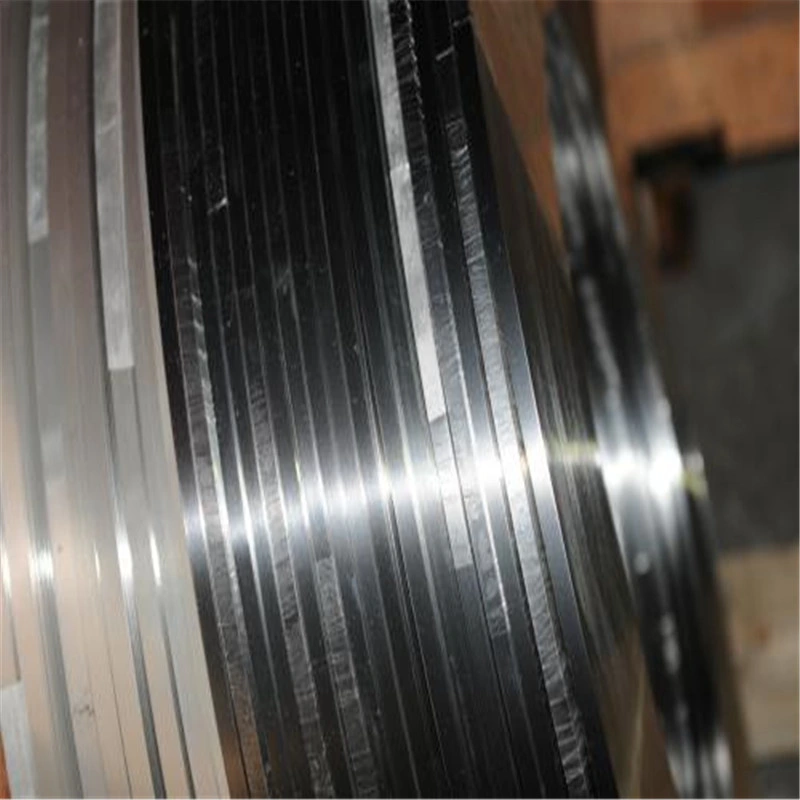 High Precision Ultrahard 480 Hv Spring AISI 301 Stainless Steel Strip (304/316L/J1/J2/430/304DQ)