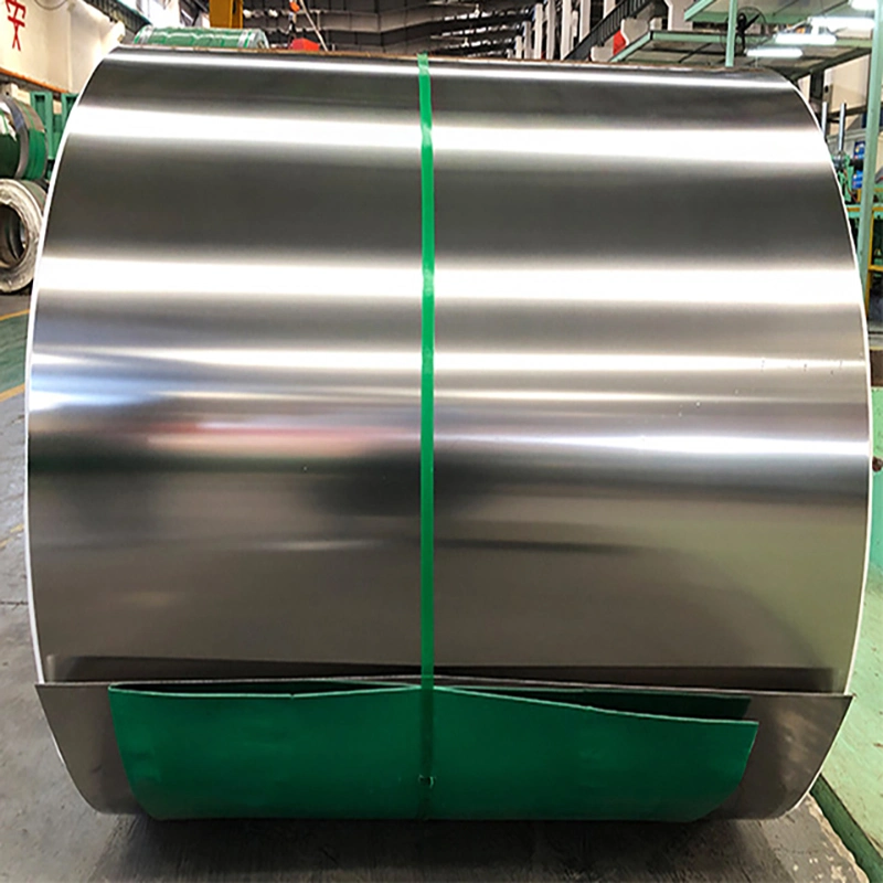 Galvanized/Iron/Corrugated/Roofing/Hot Cold Rolled/Steel Sheet/Strip/Tinplate/Carbon Steel/PPGI/PPGL/Sheet/Plate Building Material 304 316L Stainless Steel Coil