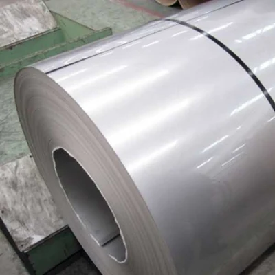 ASTM fábrica JIS SUS 201 202 301 304 304L 316 310 410 430 316L de la bobina de acero inoxidable de 0,3 mm con 6mm aprox.