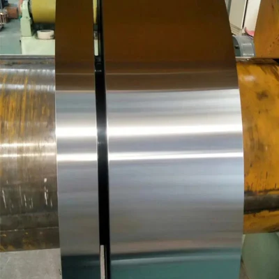 Venta caliente 1mm de espesor 316 tiras de acero inoxidable 316L