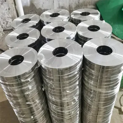 Venta caliente 1mm de espesor 316 tiras de acero inoxidable 316L