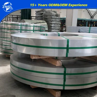  Tira de acero inoxidable laminado en frío a medida 304 con 0,05mm 2mm Tira de zinc de inmersión en caliente gruesa 304 tira de bobina de acero inoxidable Del proveedor chino