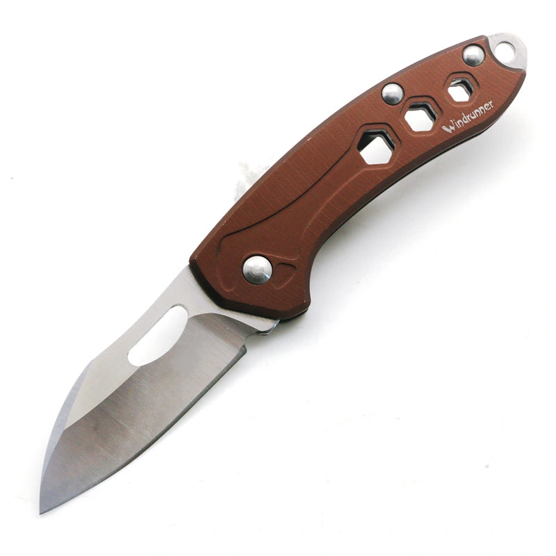 4.64&quot;Closed Titanium Alloy Handle Sanding+Mirror Finished Blade Spring Assistant Knife.
