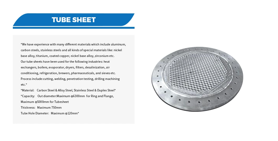 ASME/ANSI/DIN/En/GB/JIS/RF/FF/Rtj Carbon Steel /Stainless Steel /Alloy Steel Forged Flange Tube Sheet