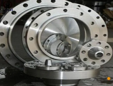 Forged Carbon Steel Flange and Stainless Steel Flange