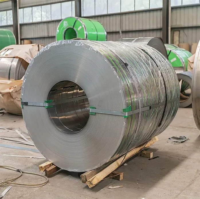 Stainless Steel Strip/Coil/Tape/Band for Sale with 1 mm Thickness ASTM 301 304 316 Cold Rolled