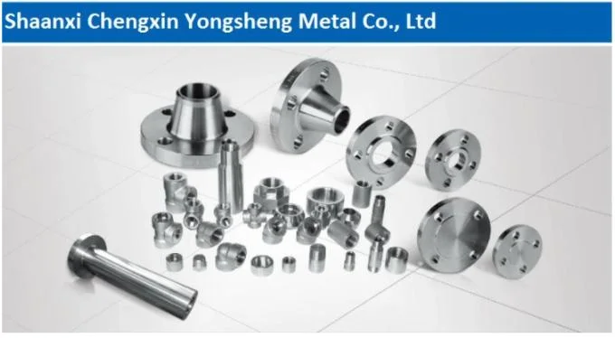 316L Stainless Steel Sanitary Butt Welding Neck Flanges