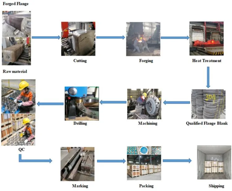 Forged Carbon Steel Flange and Stainless Steel Flange