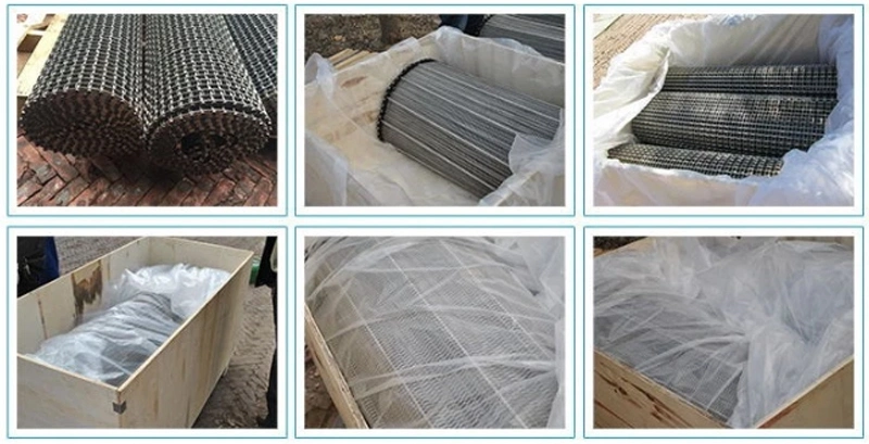 Food Industry Washinig/Drying/Fring/ Frozen/Stainless Steel 304 Wire Mesh Conveyor Belt in Industrial Belt