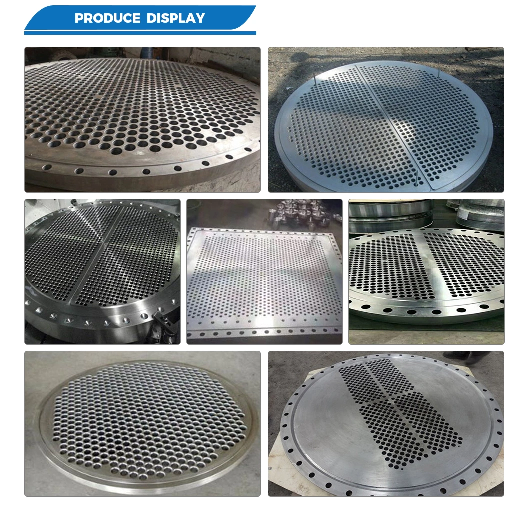 ASME/ANSI/DIN/En/GB/JIS/RF/FF/Rtj Carbon Steel /Stainless Steel /Alloy Steel Forged Flange Tube Sheet