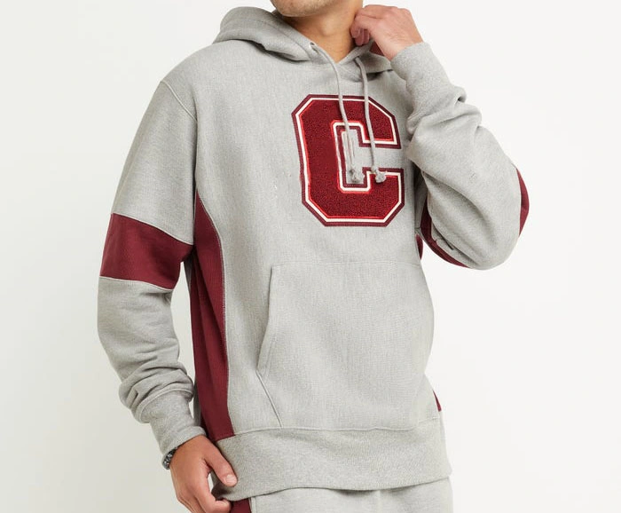 High Quality Soft Cotton Heavyweight Fleece Hoody Custom Chenille Embroidered Hoodies Men with Private Logo