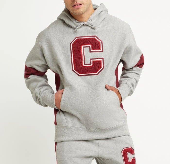 High Quality Soft Cotton Heavyweight Fleece Hoody Custom Chenille Embroidered Hoodies Men with Private Logo