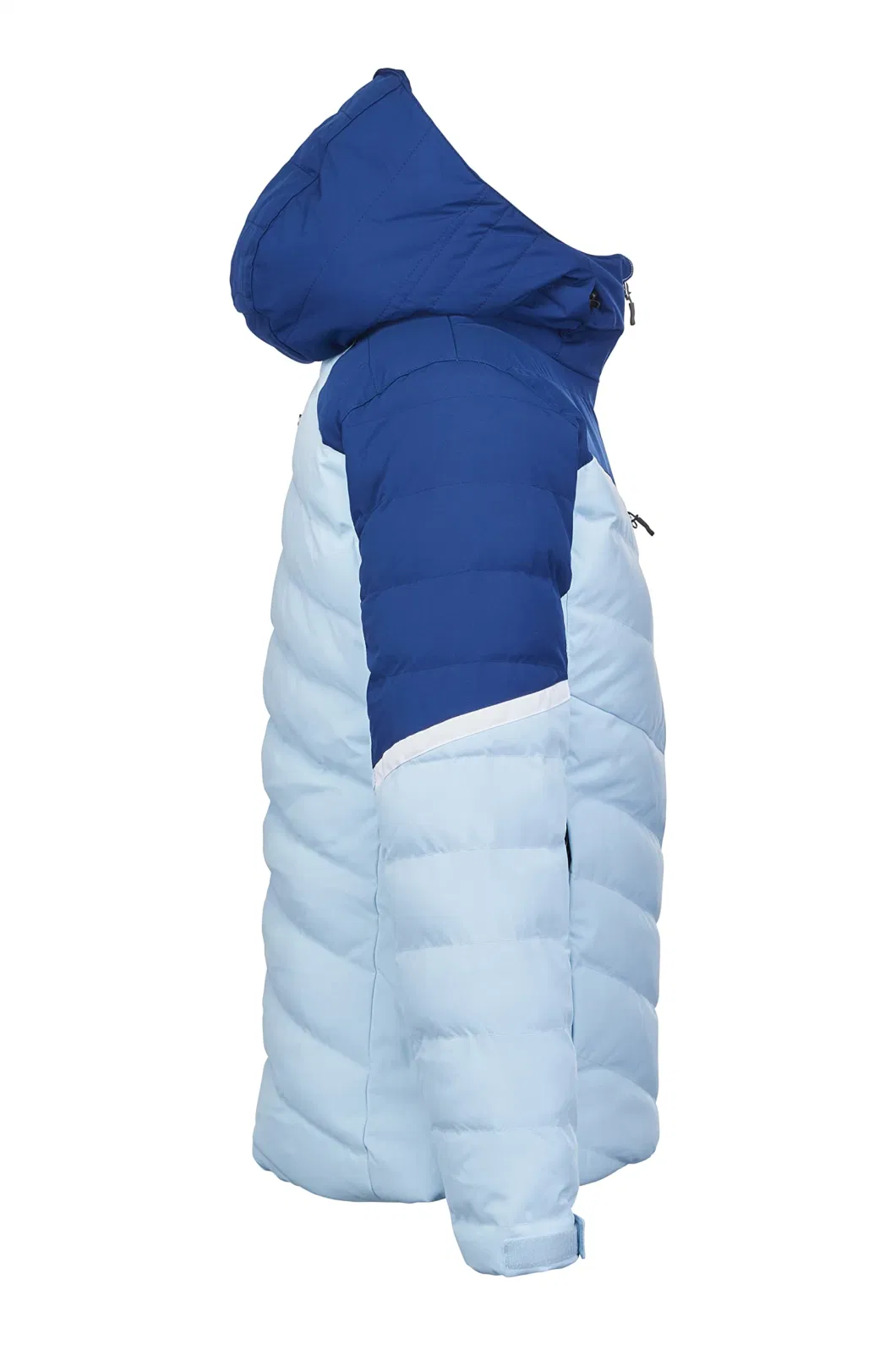 Asiapo China Factory Women&prime;s Winter Stylish Fashion Insulated Down Ski Snow Jacket