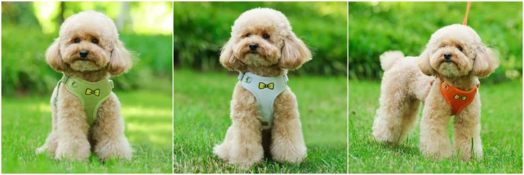 Outdoor Reflective Tape Embroidery Bow Dog Pet Chest Strap Vest
