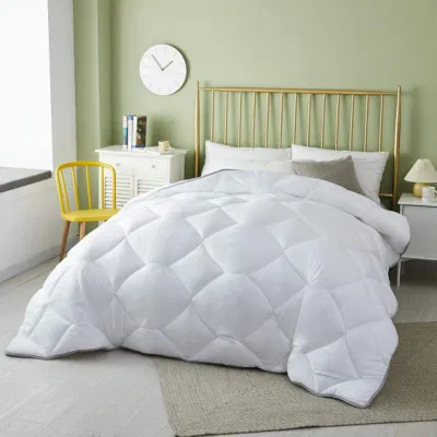 Produttore Commercio all′ingrosso più economico Bianco spazzolato microfibra poliestere Home letto Comforter Trapunta in confezionamento sottovuoto
