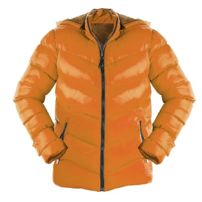Uomo′ S Softshell giacca all′ingrosso Produttore uomini Inverno Outdoor caldo Giacca casual imbottita