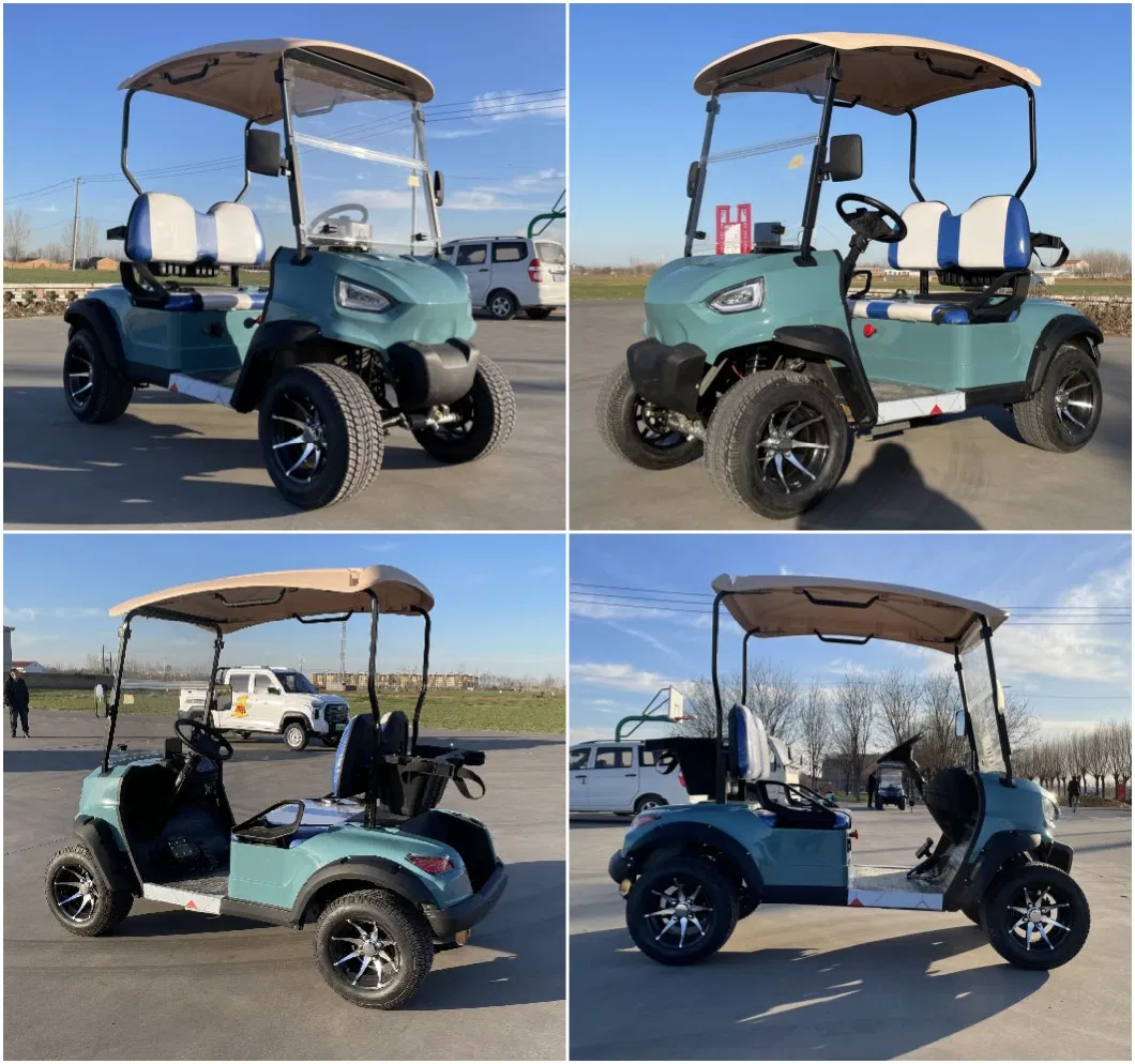 Manufacturer Wholesale 2 Seats Electric Golf Cart with 100km Mileage off Road Electric Buggy Hunting Car