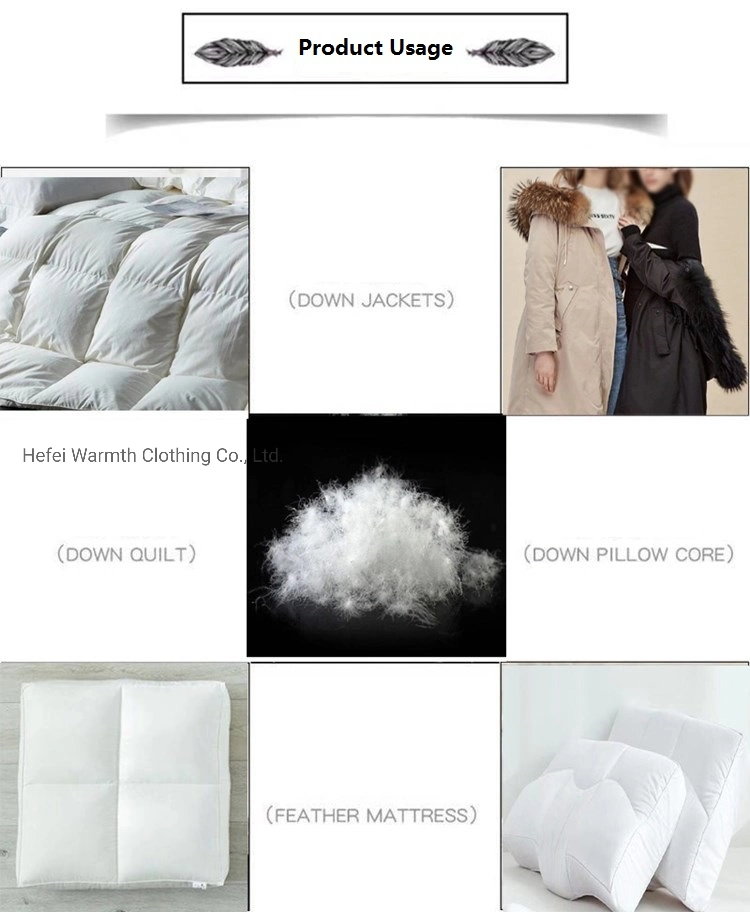 Down Supplier Comforter Duvet Filling Material in White Washed Duck Down