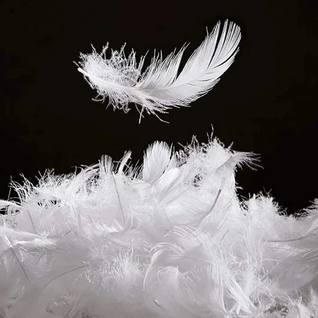 Wholesale 100% Cotton White Goose Duck Feather Filling Comforter Down Insert Silk Quilt Duvet