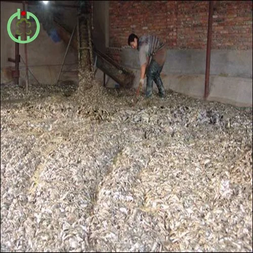 Fish Feed Fish Meal Poultry Feed Fish Meal Pet Food