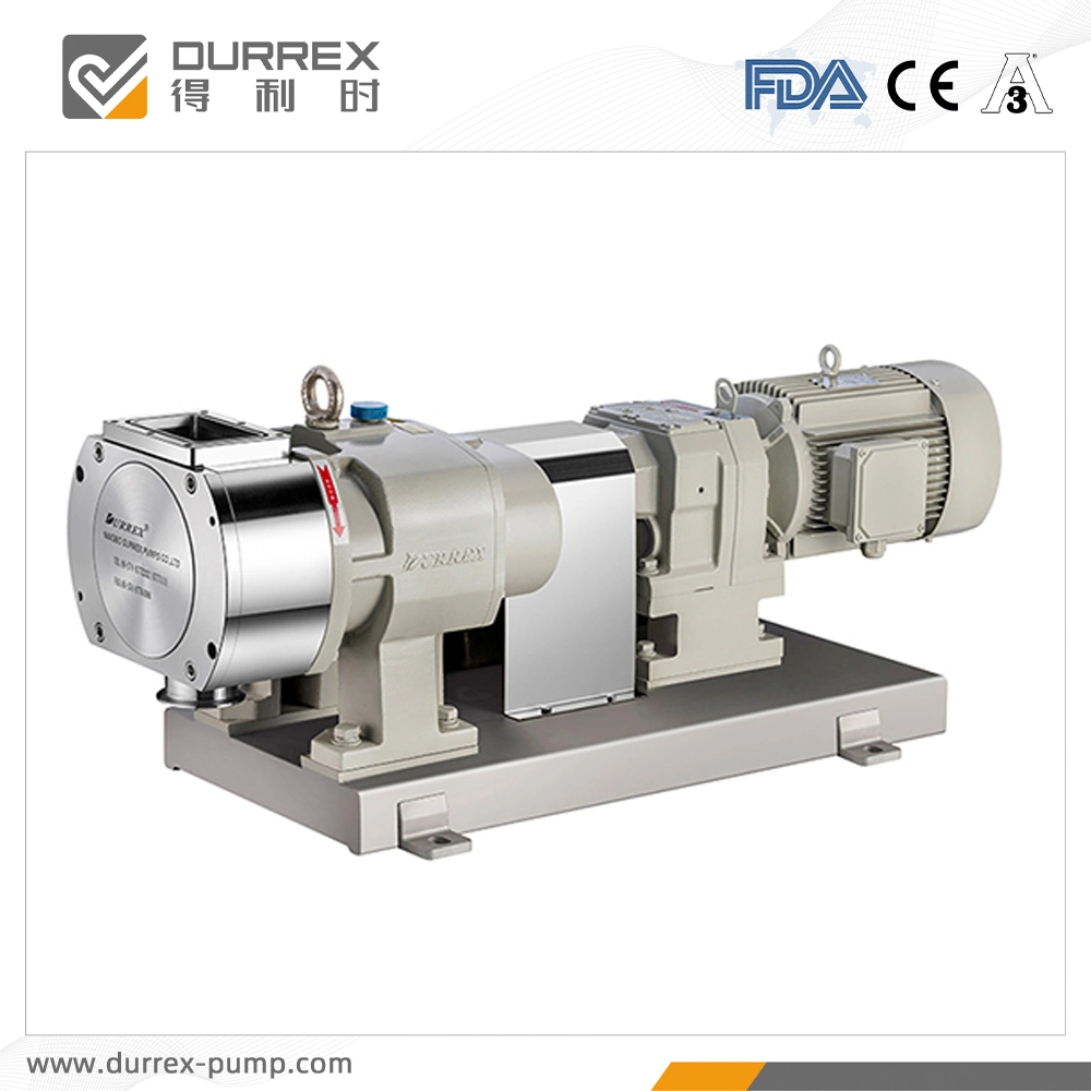 Seasoning Transfer Stainless Steel Rotary Pump