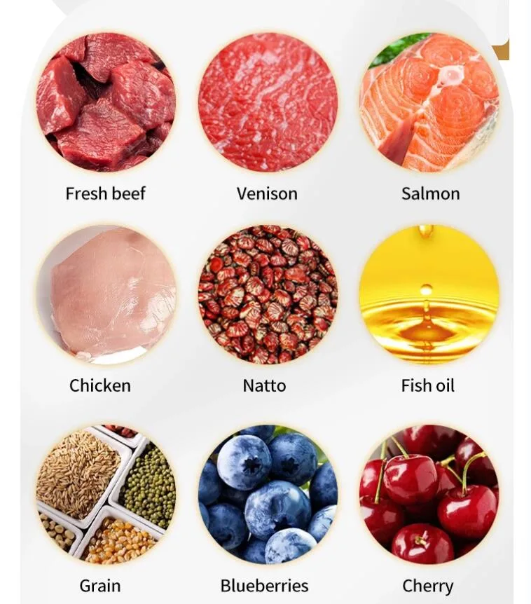 Multiple Fresh Meat and Fruit and Vegetable Organic Dog Foods