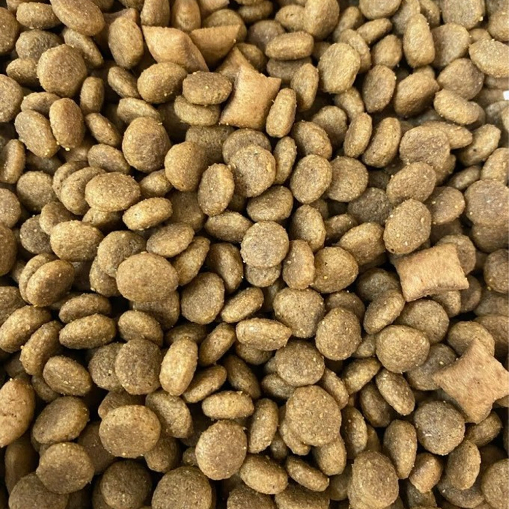 The Best Chewing Dog Food and Pet Food Bulk Wholesale in China