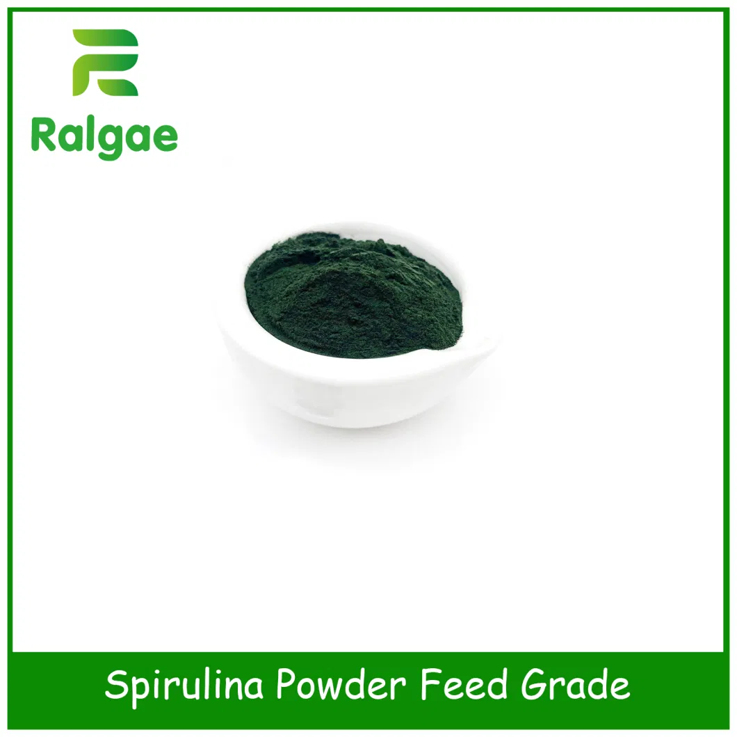 Fish Feed Aqua Feed Shripm Feed Ablone Feed Spirulina