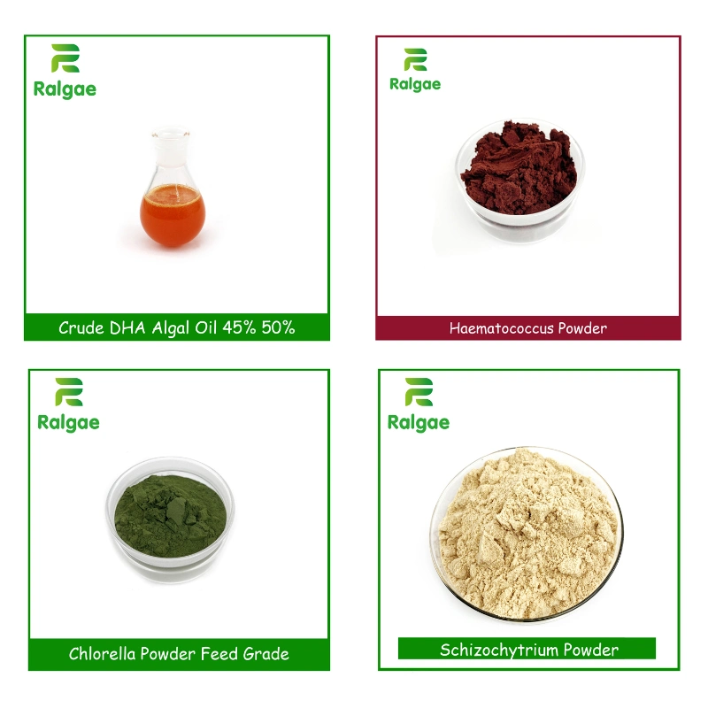 Fish Feed Aqua Feed Shripm Feed Ablone Feed Spirulina