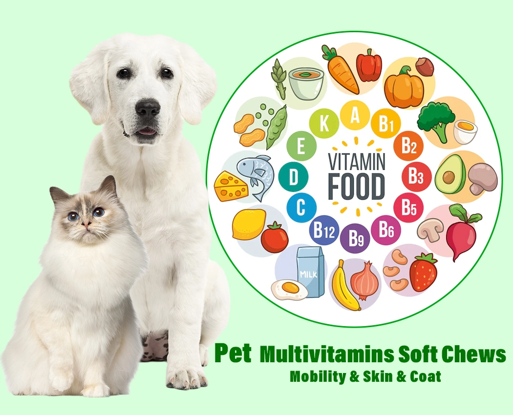 Pettisup Private Label Pets Supplement N in 1 Dog Vitamin Treats Immunity&Gut Health Support for Cat Pet Multivitamin Soft Chews