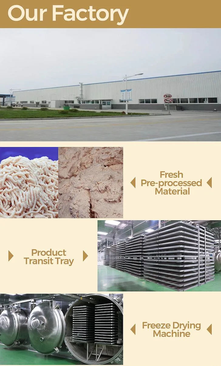Wholesale Food Customized Factory Chicken Strips Dog Pet Food Cat Treat Freeze-Dried
