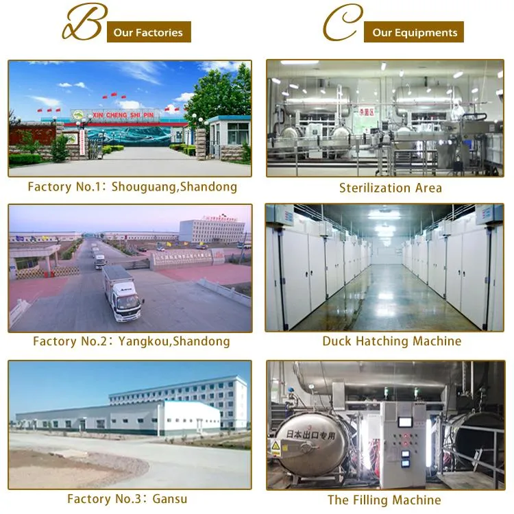 Snow-Beef-Pie Pet Food Dry Food Factory