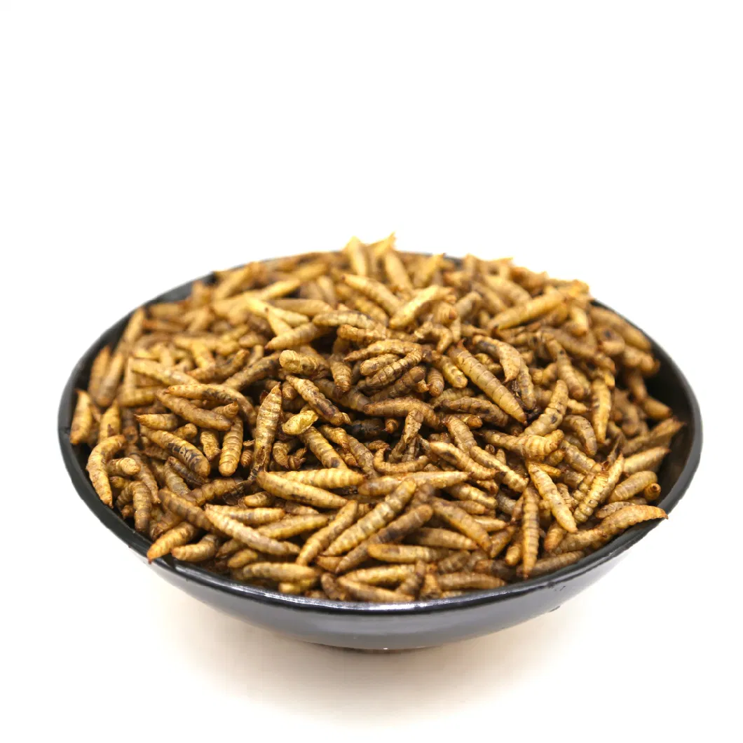Microwave Dried Black Soldier Fly Larvae Treat for Fish/Birds/Pets/Reptiles/Chickens