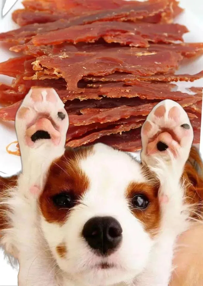 OEM/ODM Air-Dried Chicken Breast Jerky Dog Snacks Chicken Dog Treats Pet Food