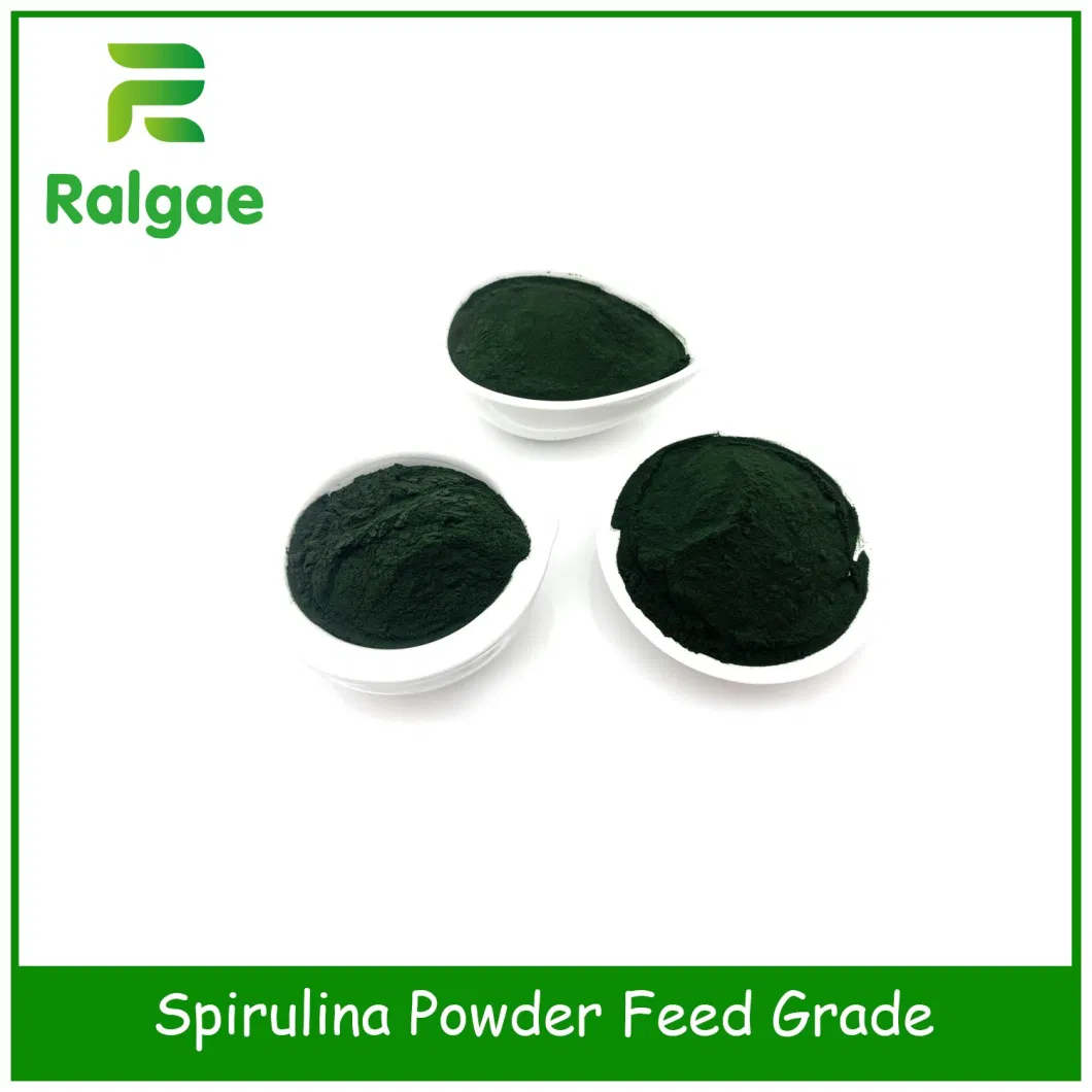 Fish Feed Aqua Feed Shripm Feed Ablone Feed Spirulina