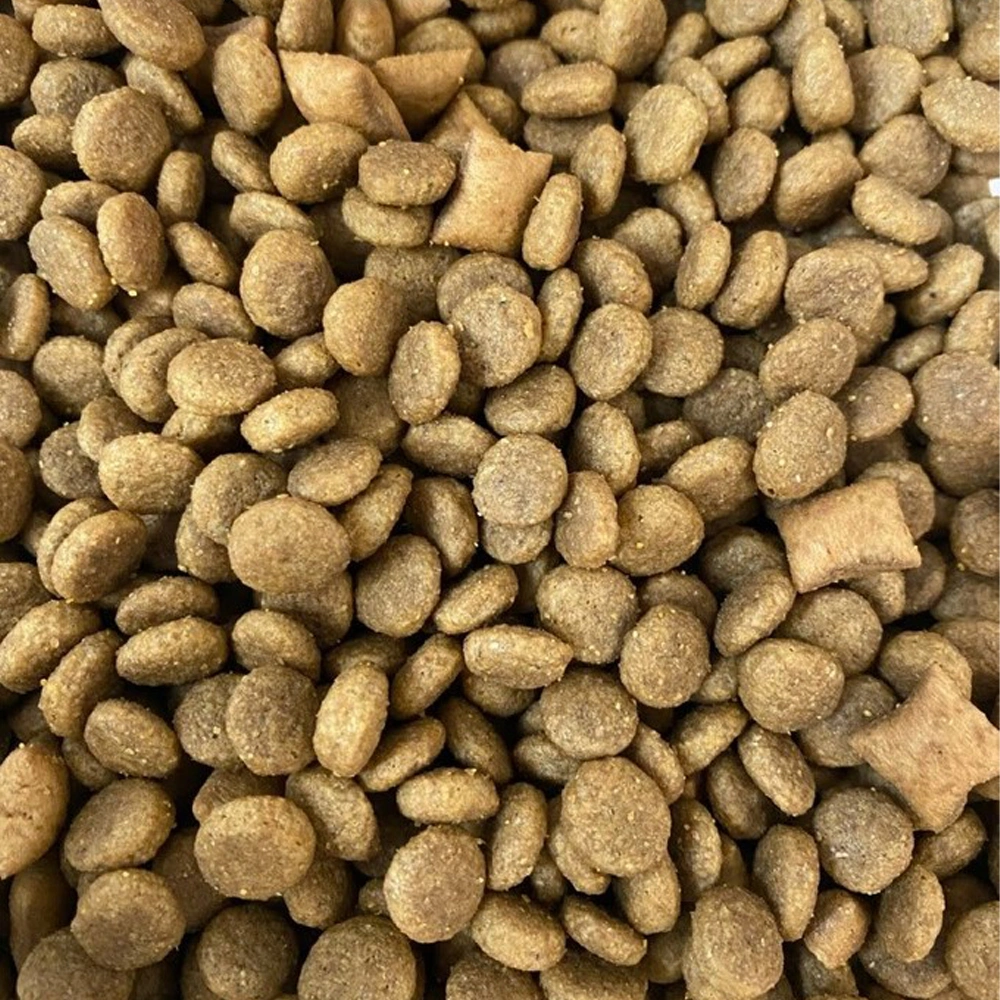 The Best Healthy Dog Food and Pet Food Bulk Wholesale in China