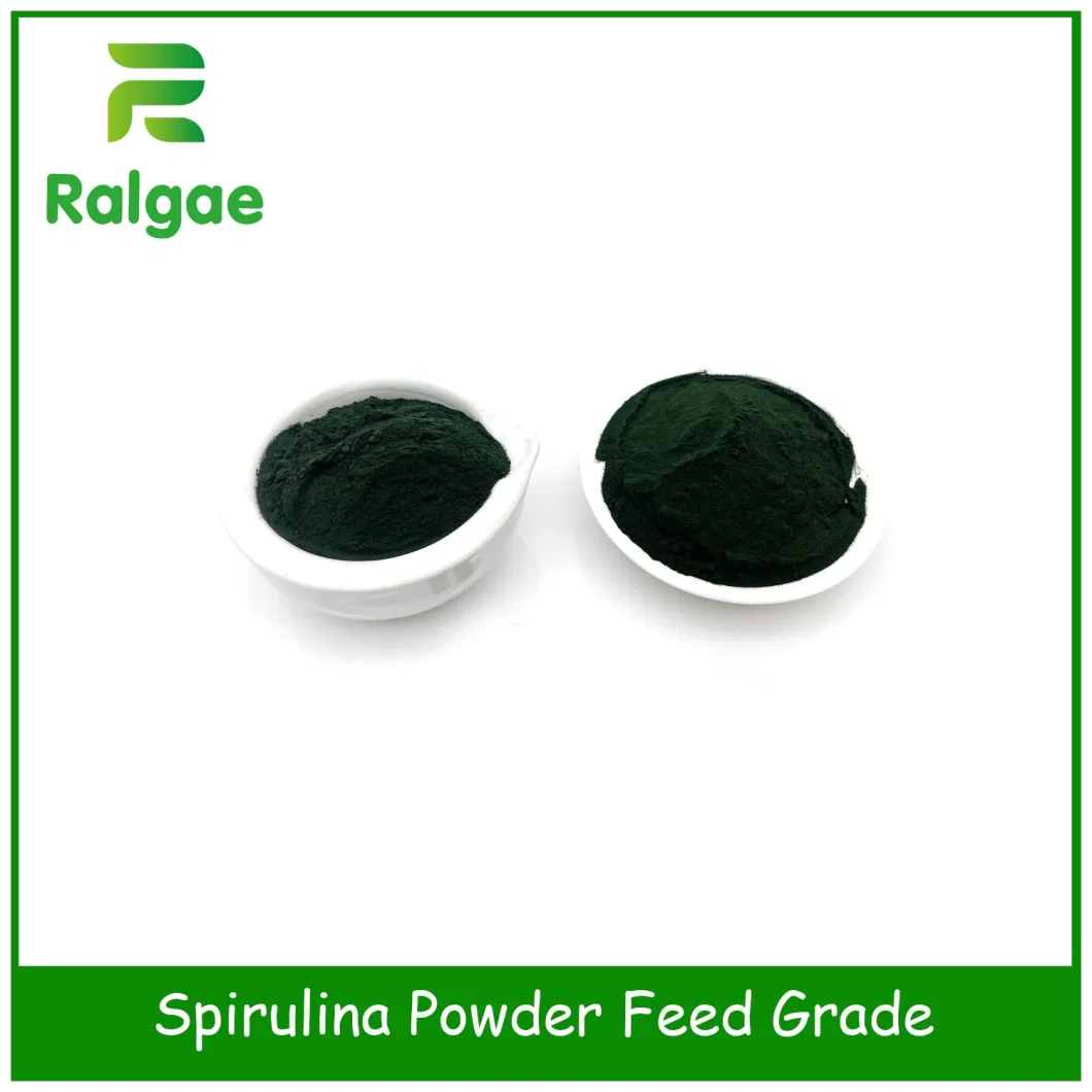 Fish Feed Aqua Feed Shripm Feed Ablone Feed Spirulina