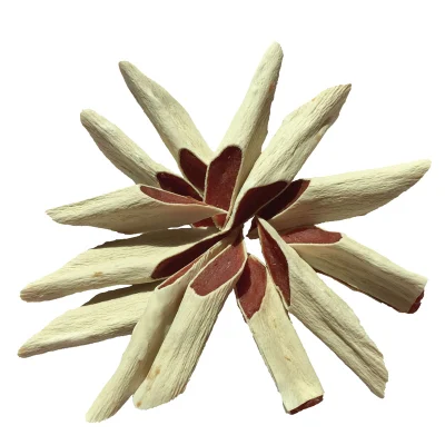 Hot Sale Perro Treats Pet comida Pato Penne Pasta Pet Comida Pet Snacks Pet Treats