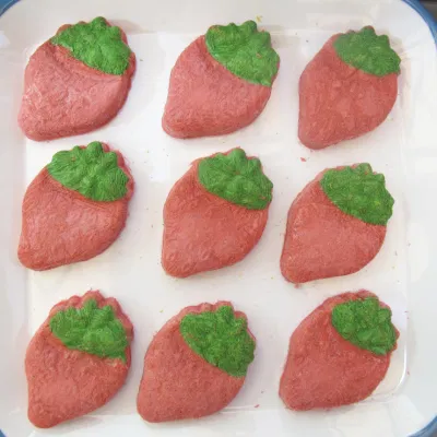  Nutri de etiqueta privada Galletas Gato Snack Perro congelado secado Comida de gato de mascota