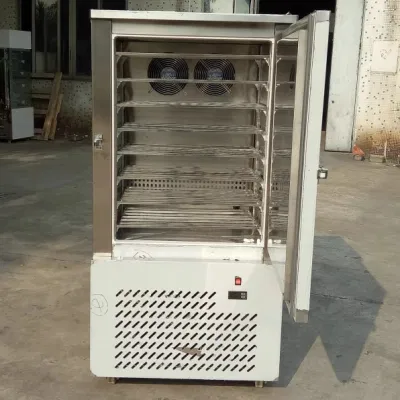  Congelador de flash instantáneo de baja temperatura máquina de choque rápido de aire Congelador de chiller congelado para pescado carne Queso Pizza