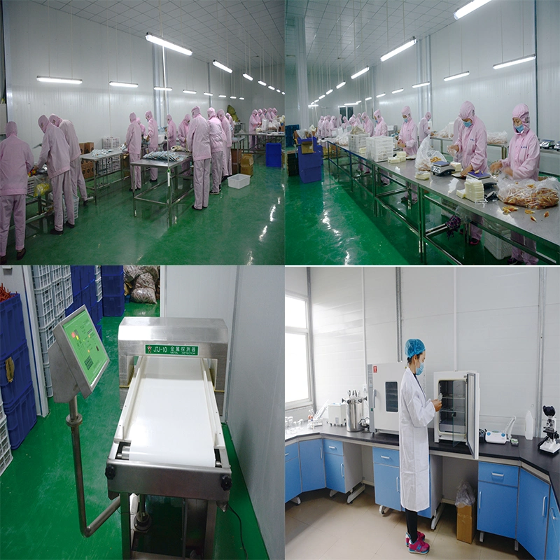 OEM ODM Pet Dog Cat Dry Food Factory