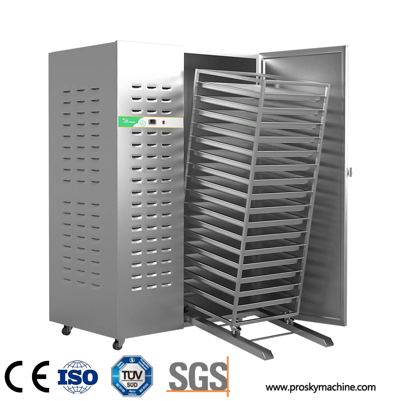 -40/-30 Commercial 830 Ultra Low Temperature Instant Flash Freezer Machine Fast Quick Shock Air Blast Frozen Chiller Freezer for Fish Meat Cheese Pizza