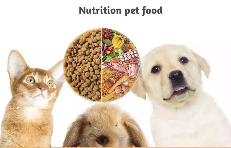 Wholesale Pet Food Animal Treats Gluten-Free Protein Rich Dry Dog Cat Food7
