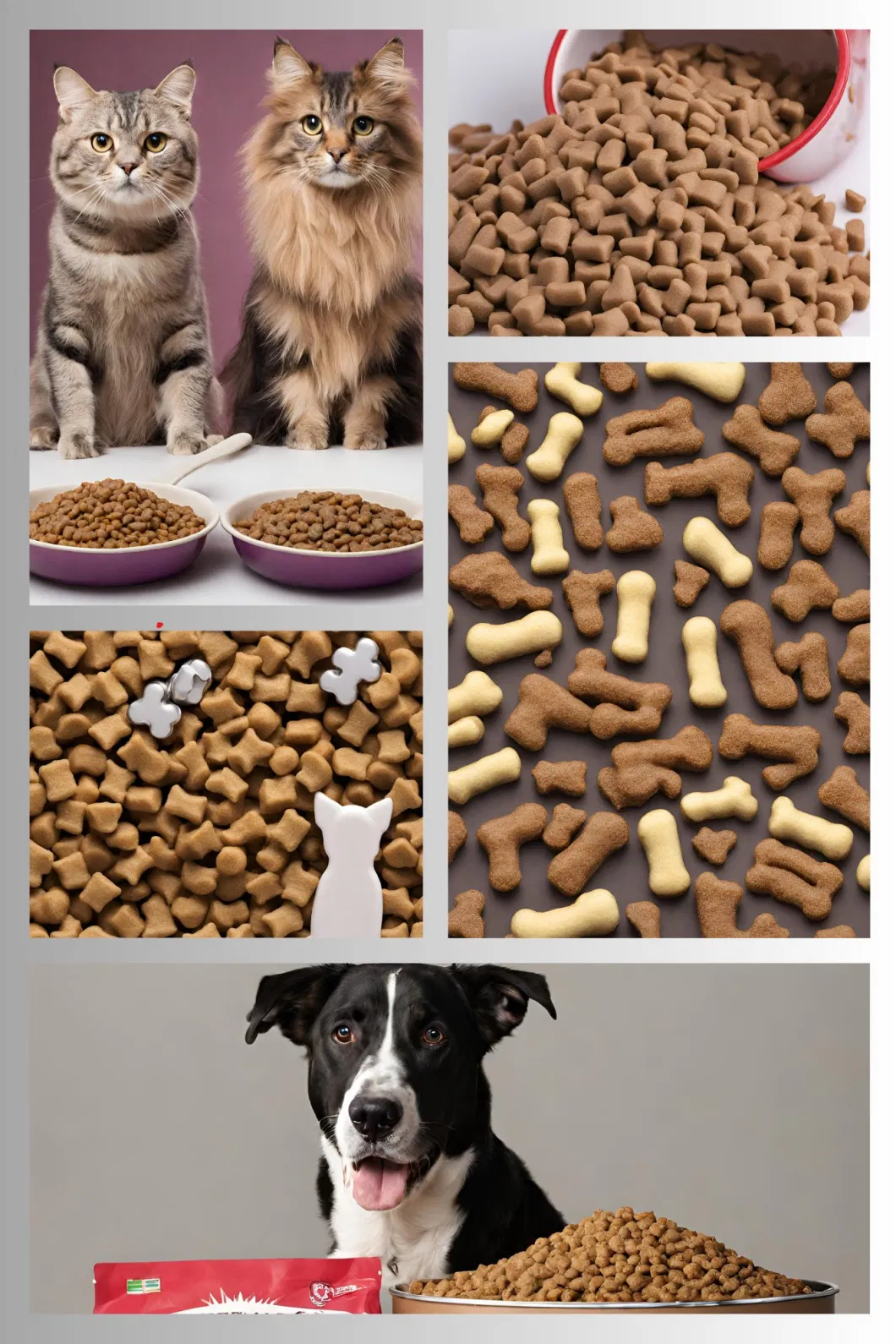 Grain Free Taste of The Wild Dog Food