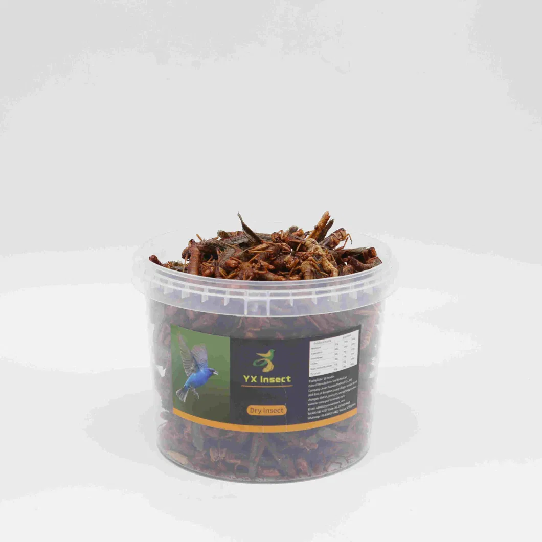 Microwave Dried Grasshopper Treat for Fish/Birds/Pets/Reptiles/Chickens
