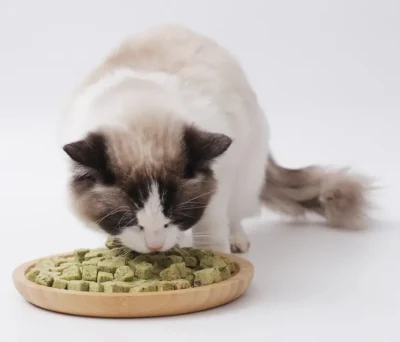 High Quality PET Cat Dog Training tratta congelare menta secca Cibo animale domestico